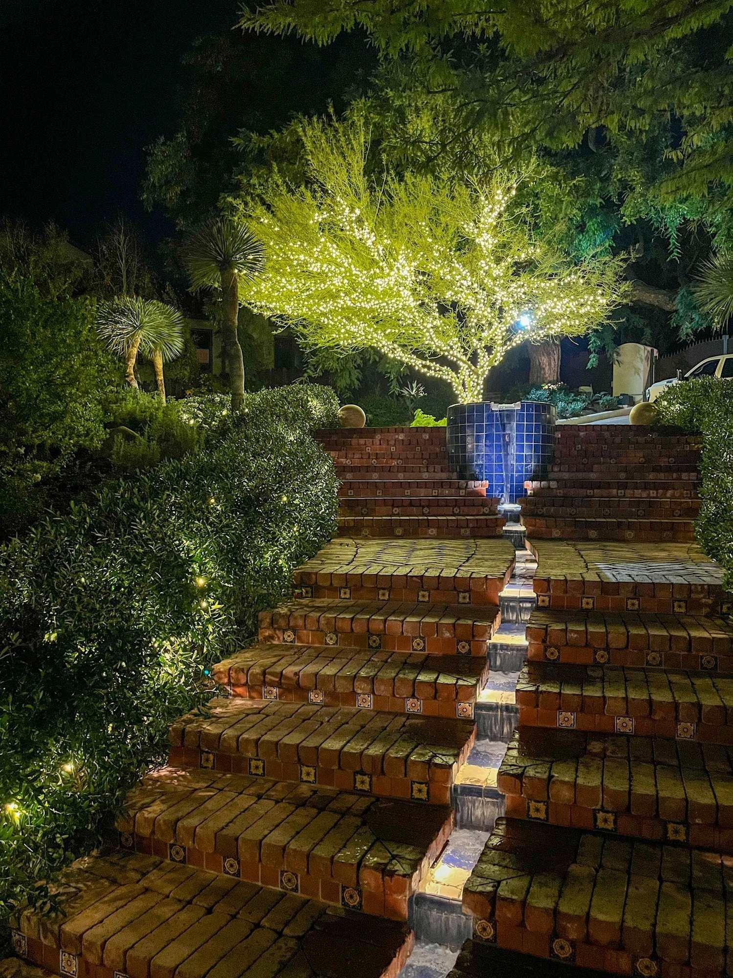 Brick front steps lined with lights leading up to a glowing wrapped tree