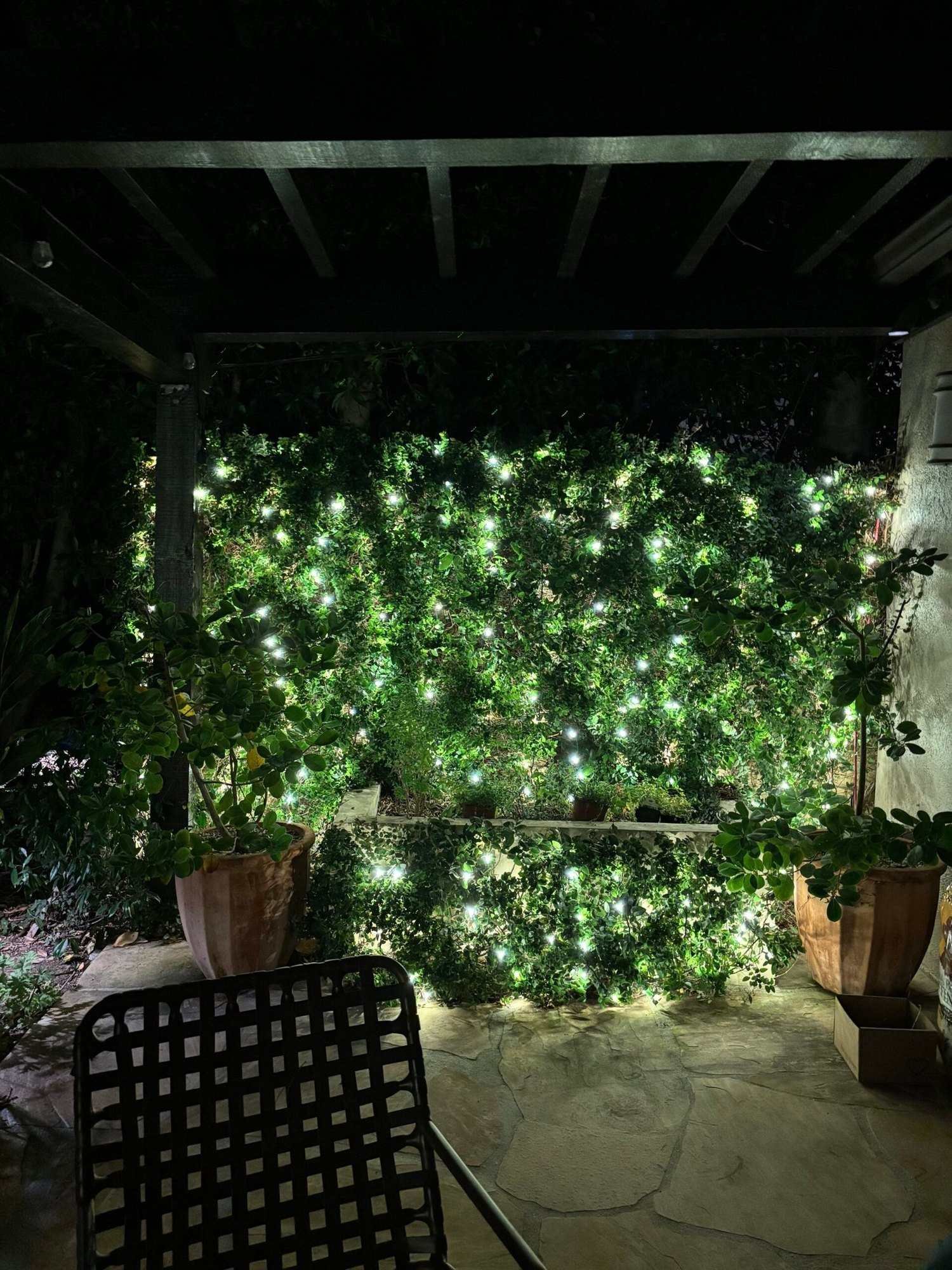 Wall of green mini lights under a pergola on a backyard patio