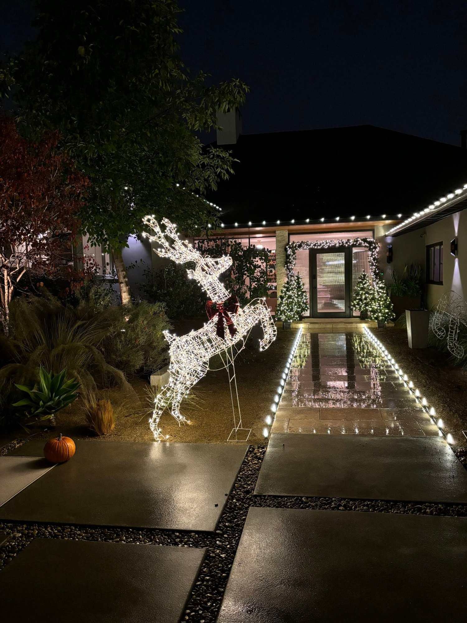 Modern home entry with C9 lights lining the walkway and a lit reindeer sculpture
