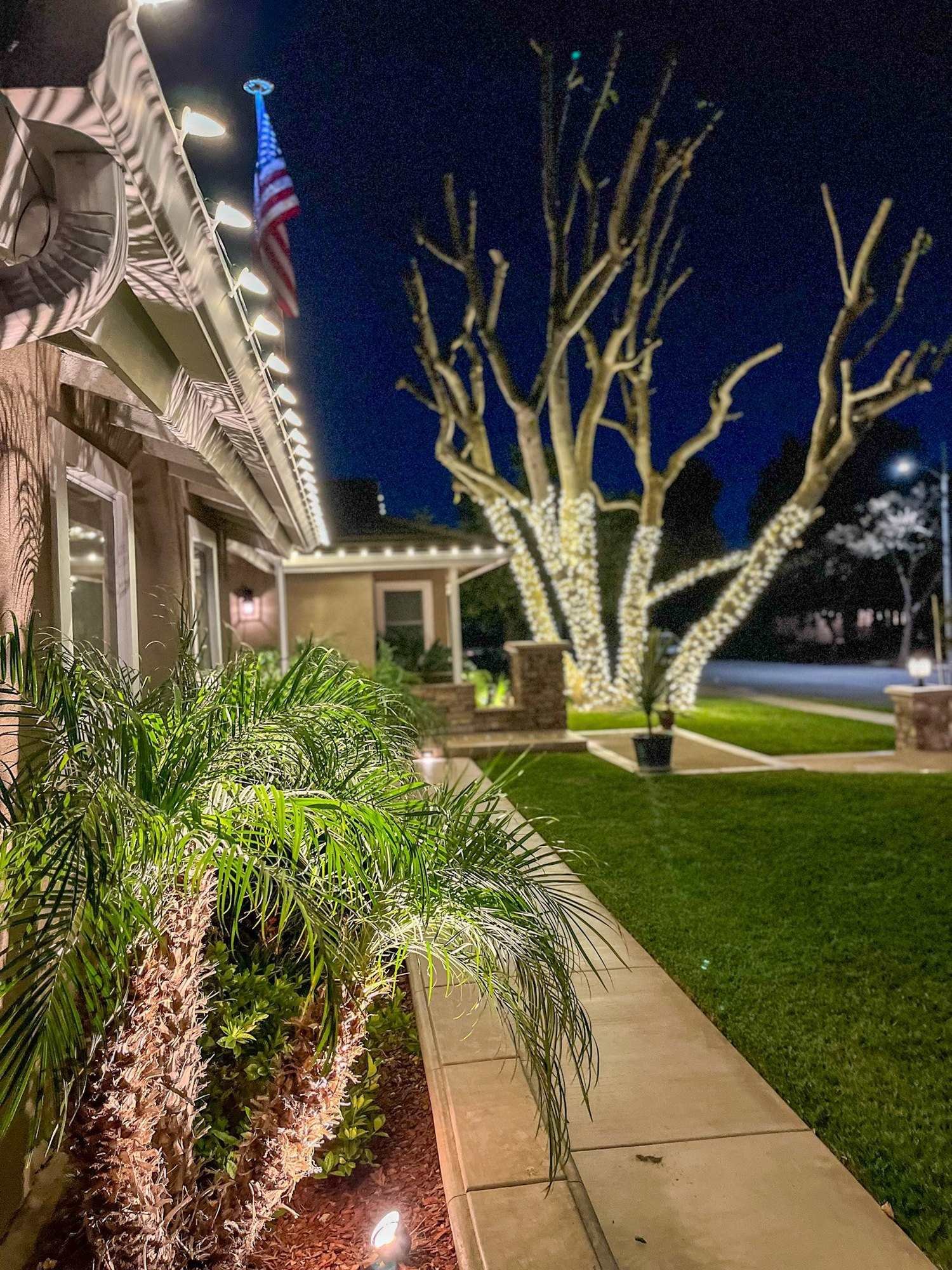Home with warm white roofline lights and a bare-branch tree wrapped in lights