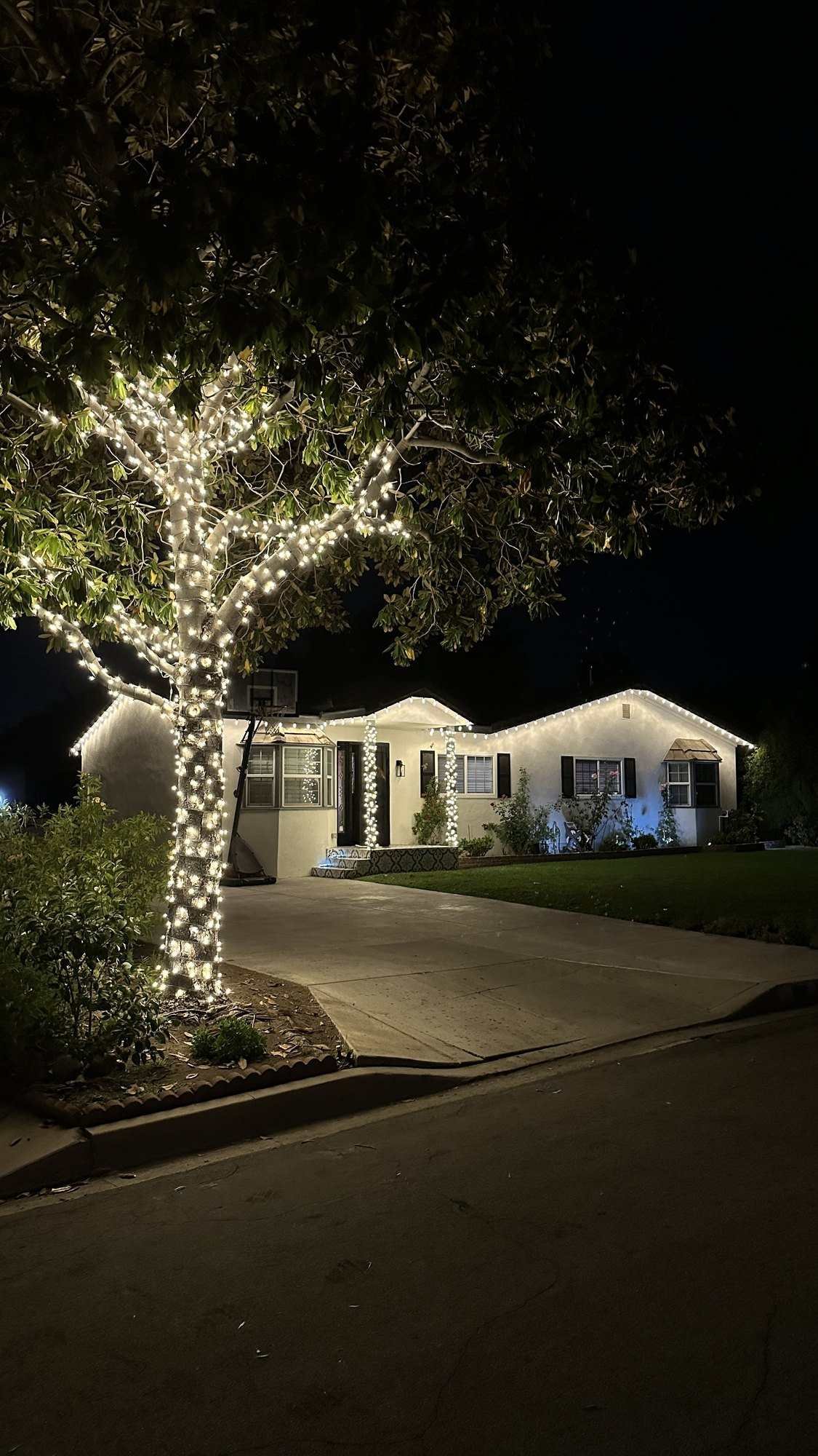 Wrapped tree glowing in front of a single-story home with roofline lights