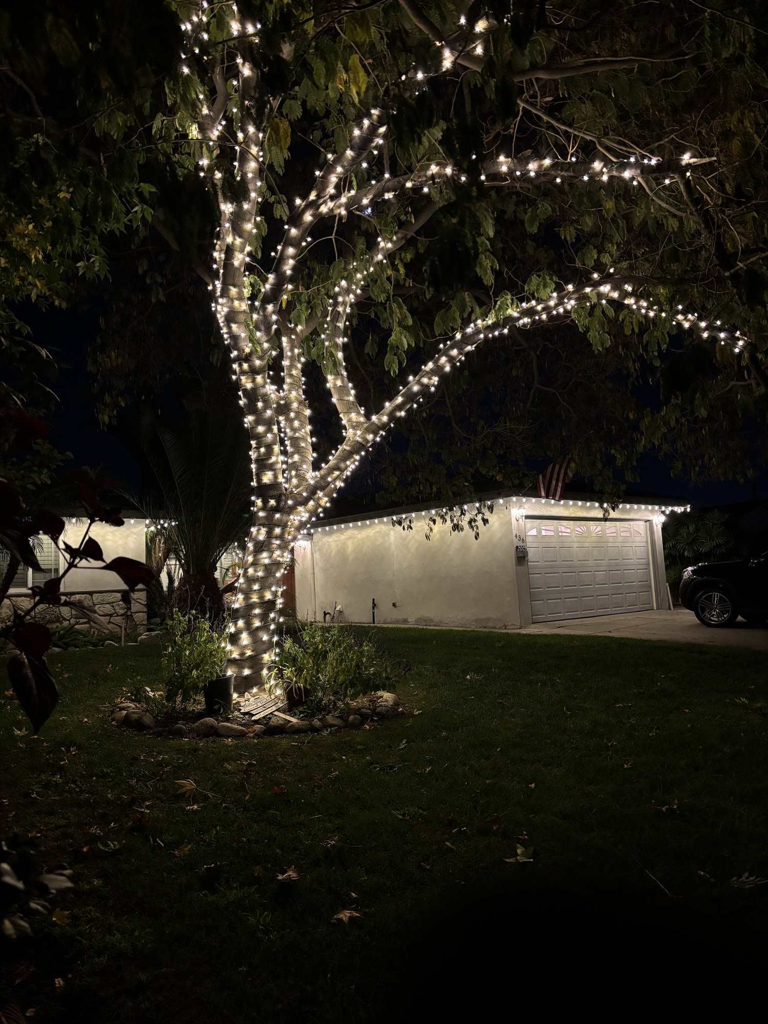 Wrapped tree in front of a garage outlined in warm white roofline lights